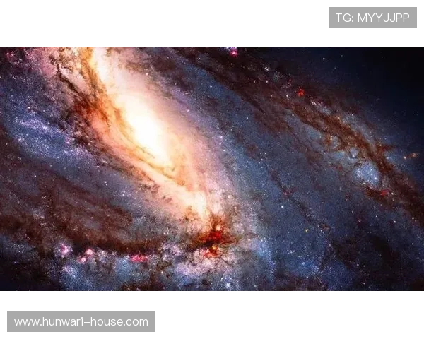 星空足球体育带来的全新视野与体验，让你感受无与伦比的运动魅力