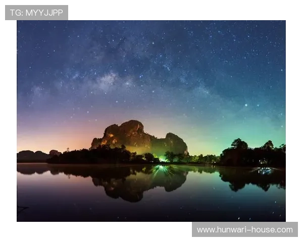 畅享星空官方网站登录入口，快速了解最新动态