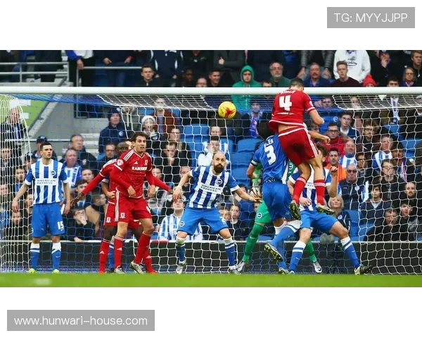 星空体育官网网页版：畅享高清赛事直播体验的最佳平台推荐