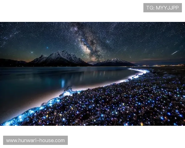 星空体育手机版：一站式体育娱乐体验带来极致视觉享受