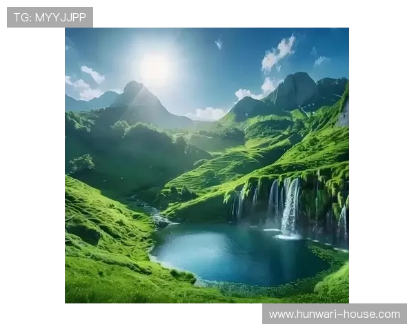 星空体育网站登录页面使用技巧与常见问题解决方案全攻略