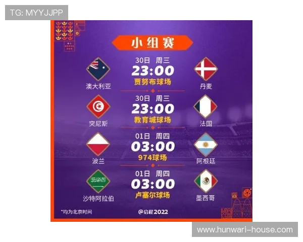 世界杯突尼斯对阵荷兰比赛场地详细介绍及其历史背景分析
